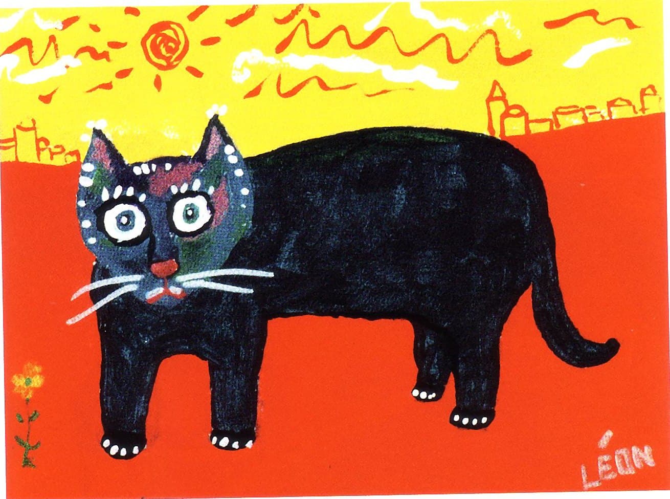 Chat du Sud