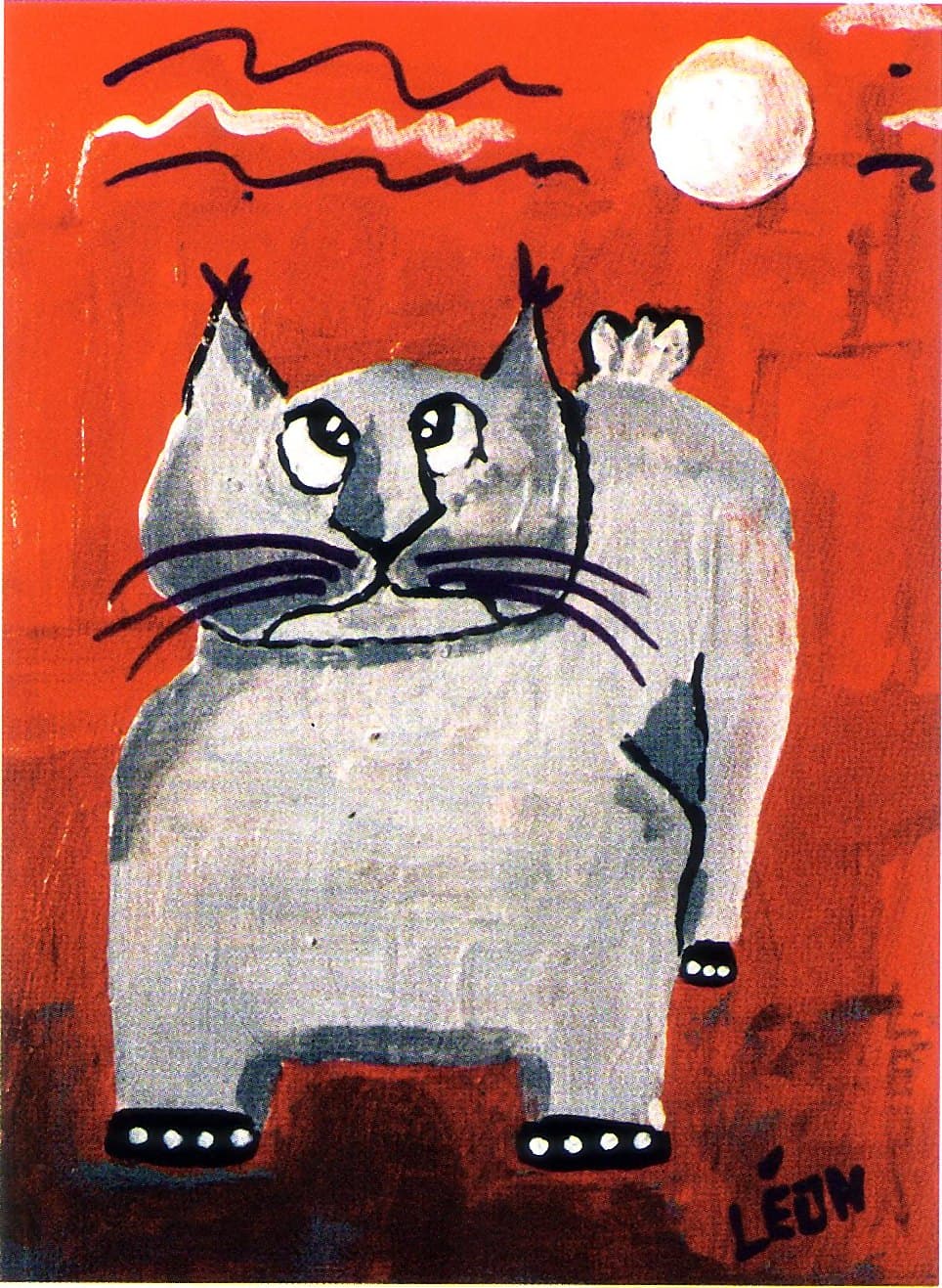 Grey cat