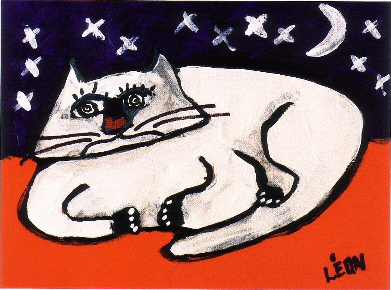 USA cat